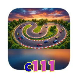 c111
